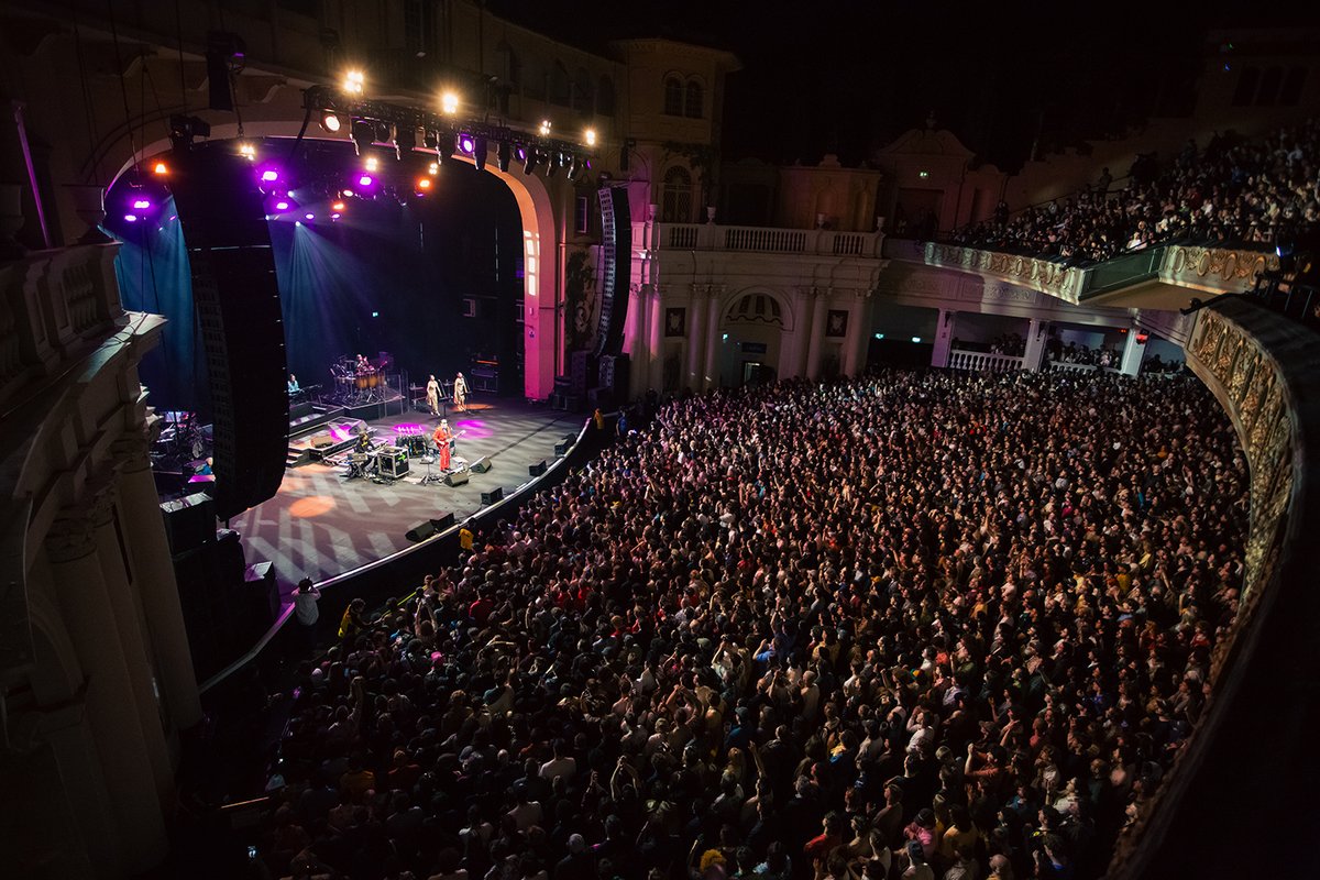 Electric Bloom Webzine tweet media