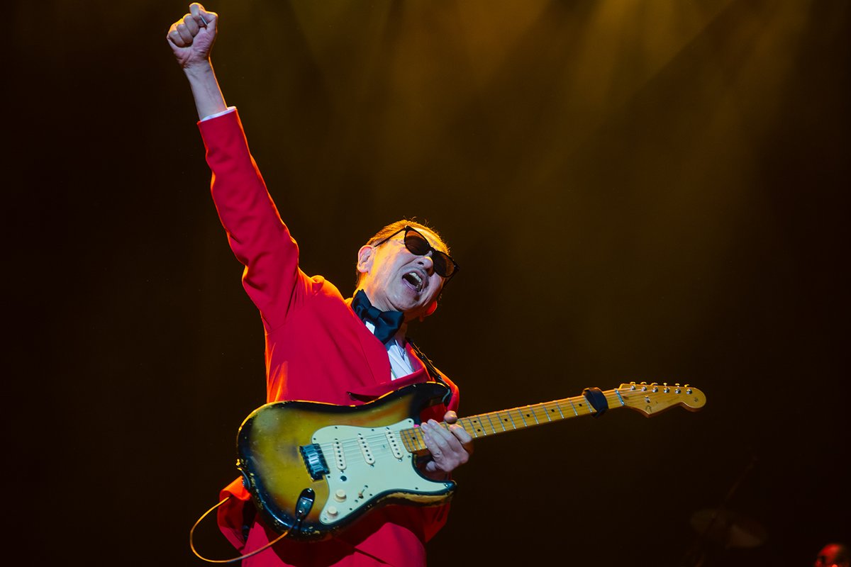 Electric Bloom Webzine tweet media