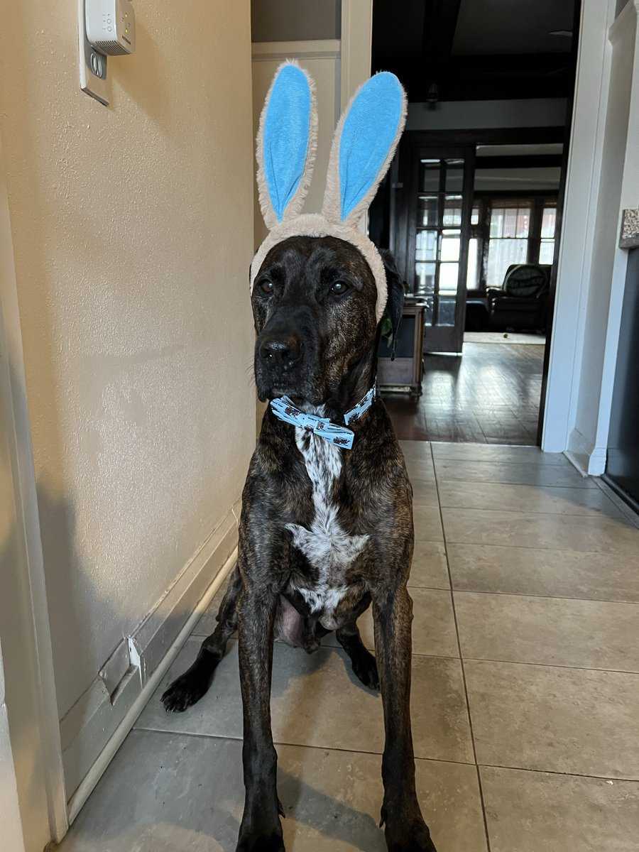 Dr. John Money, Sexologist tweet media