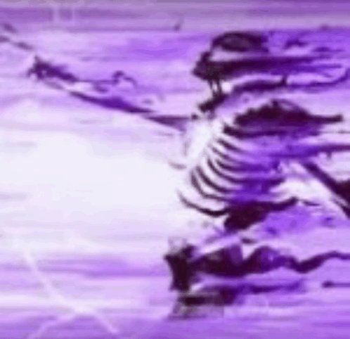 Local Girl tweet media