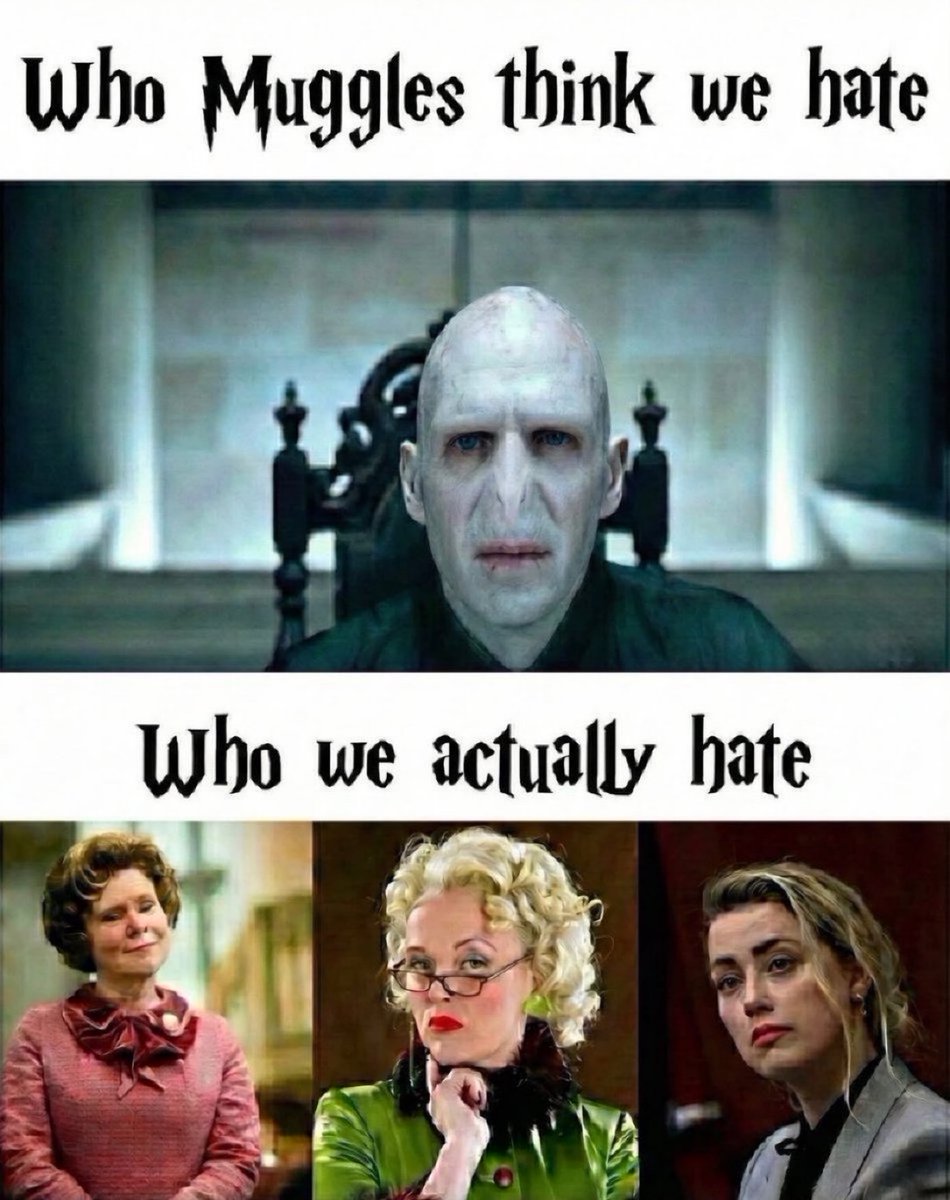 Daily Harry Potter tweet media