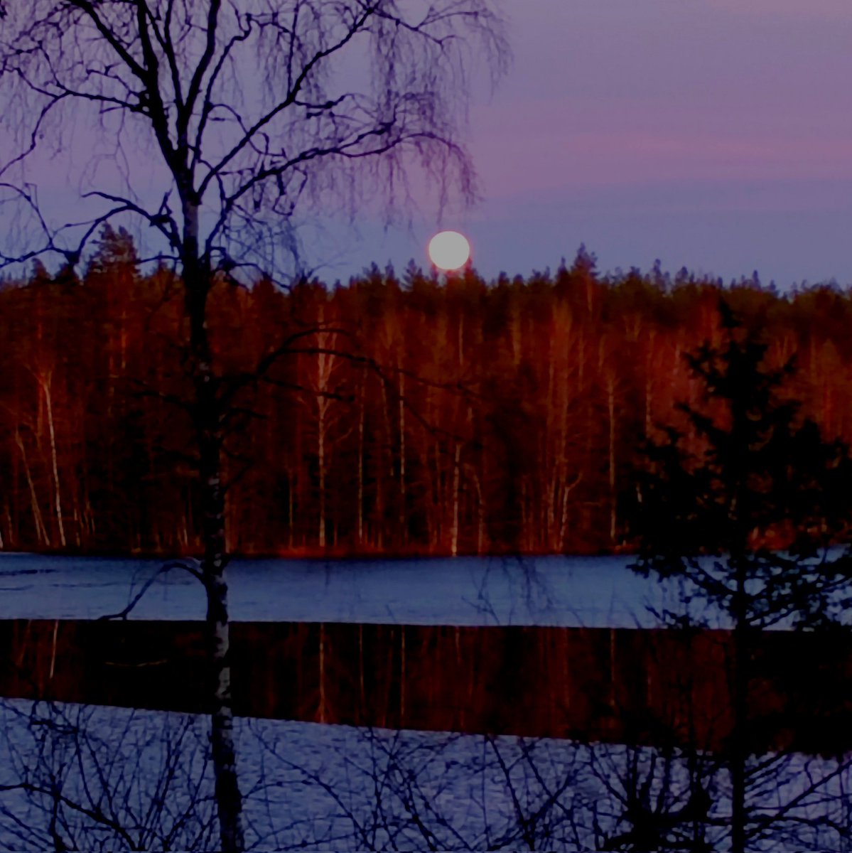 Else Kruskopf tweet media