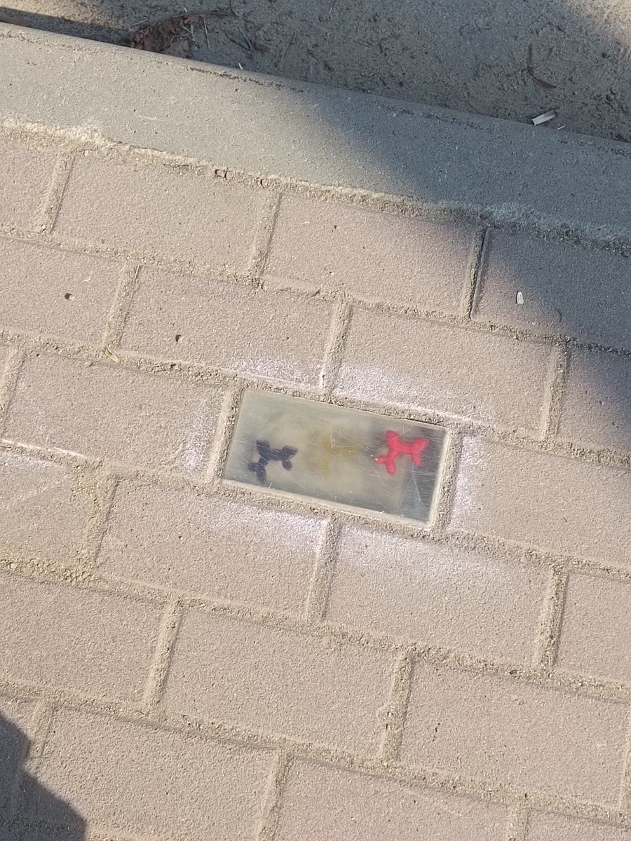 ❇️ クッキー ✴️ tweet media