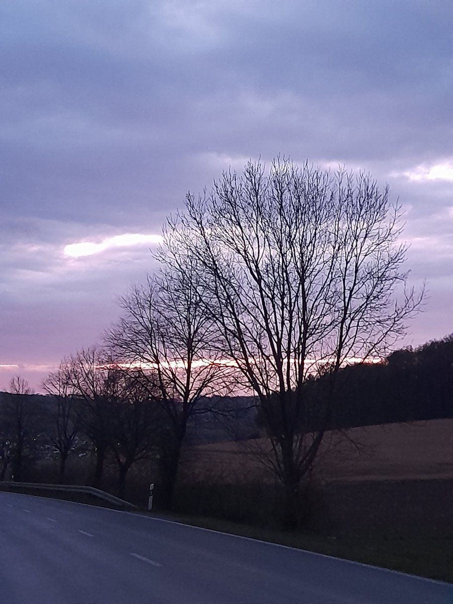 wolf remke tweet media