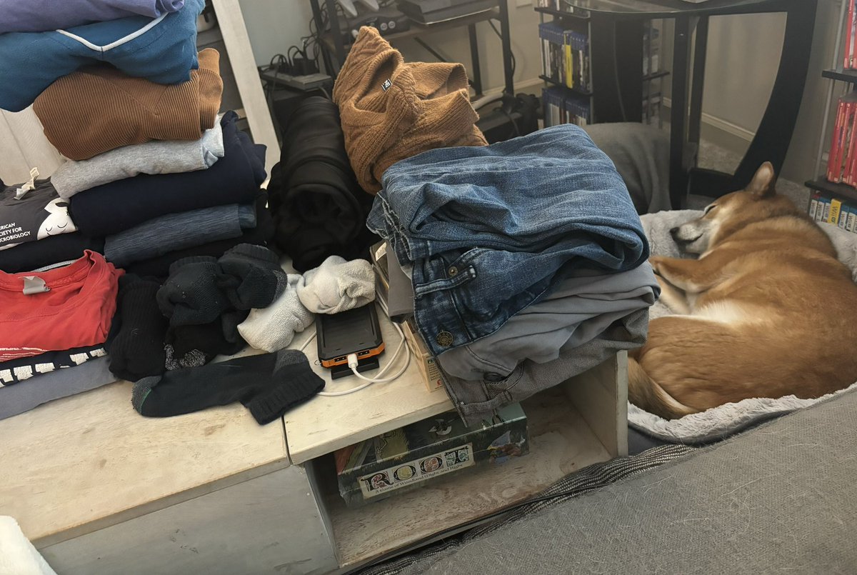 Melbourne 🐰 tweet media