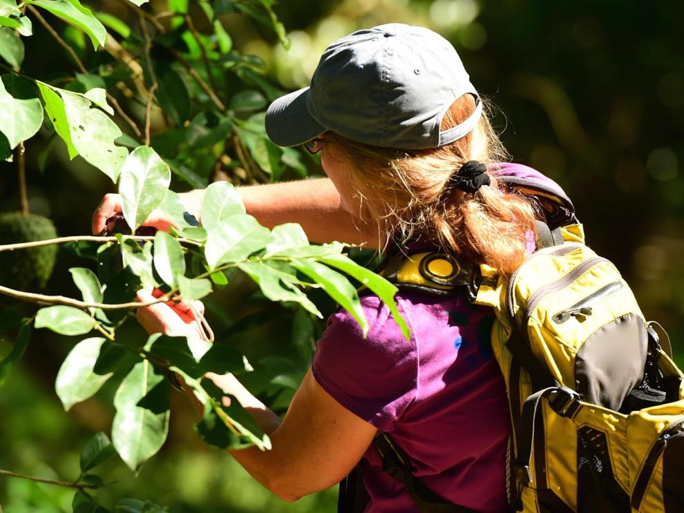 Eco de Teruel tweet media