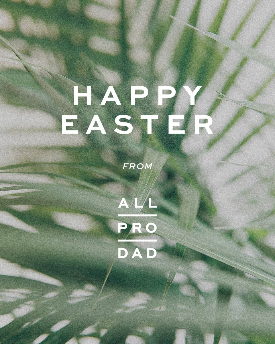 All Pro Dad tweet media