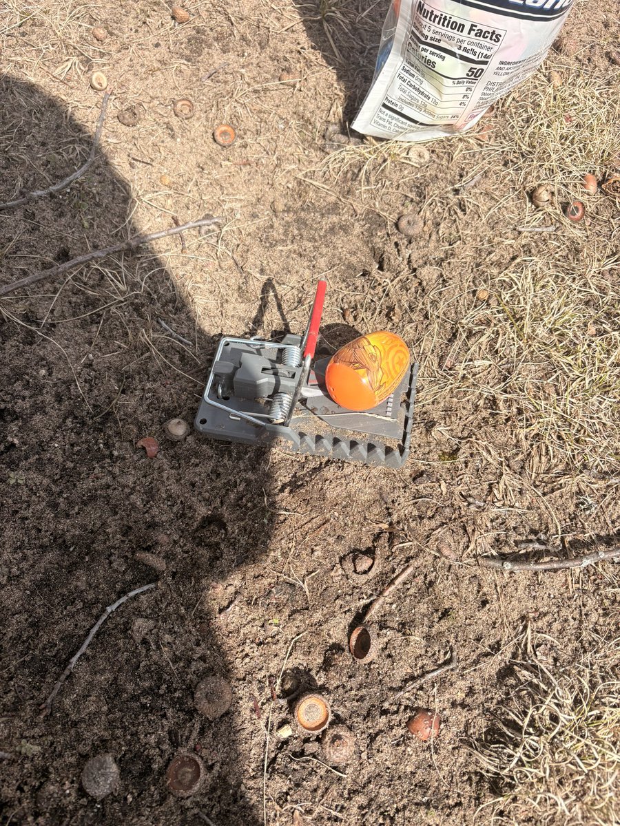 Bobby “Both Ways” Seger tweet media