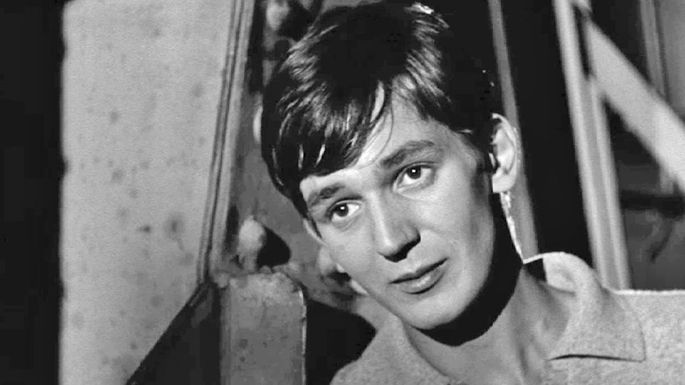 Stanislas Petit tweet media