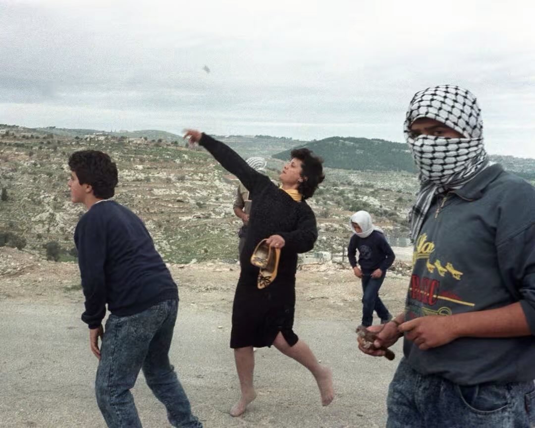 ROY​𓂆 tweet media