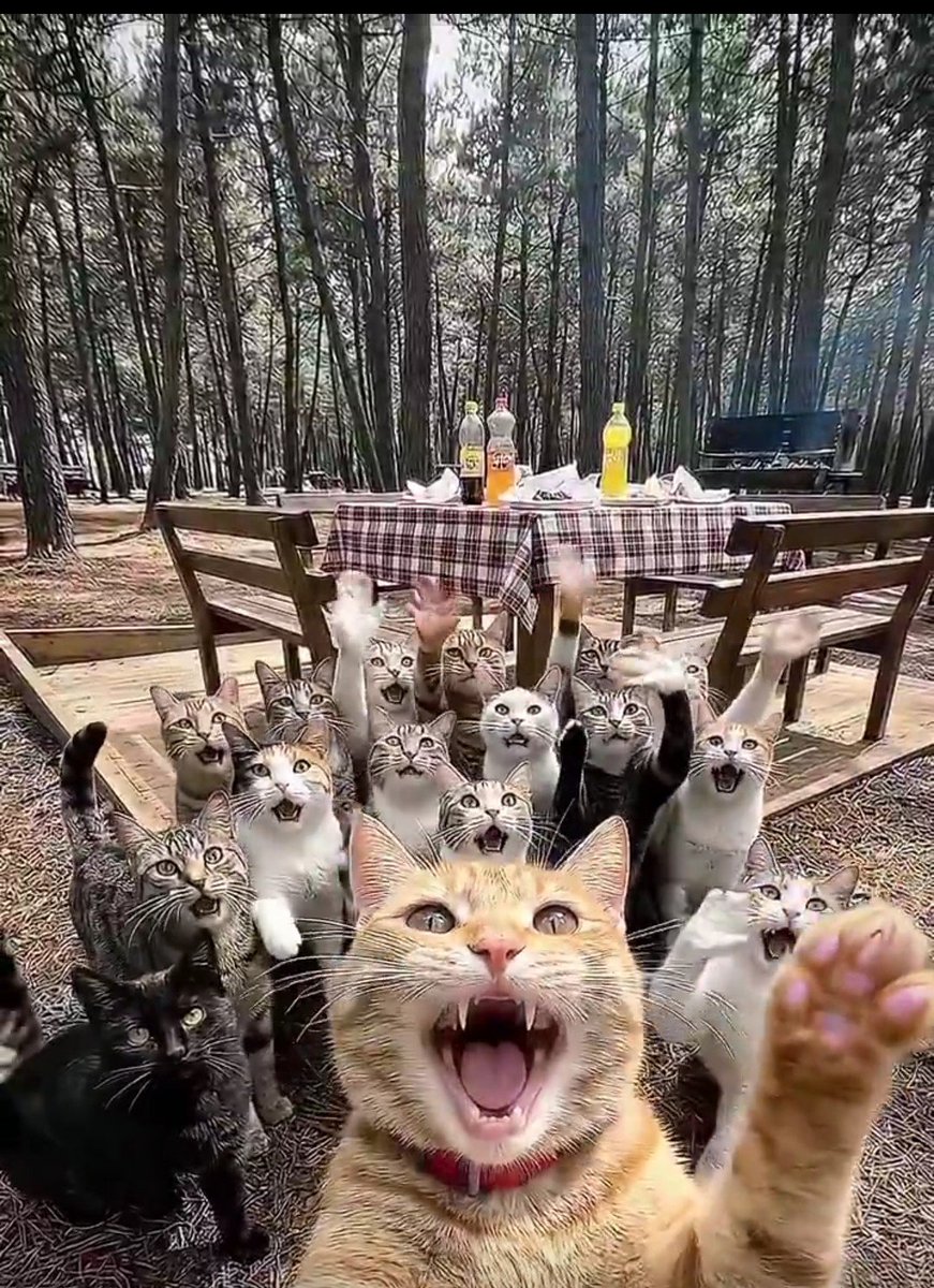 Prof Maximo, MSc tweet media