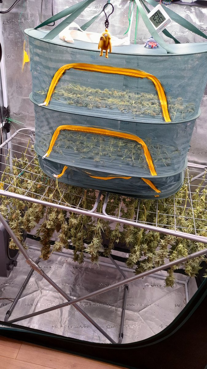 MrChilla4life👻 tweet media