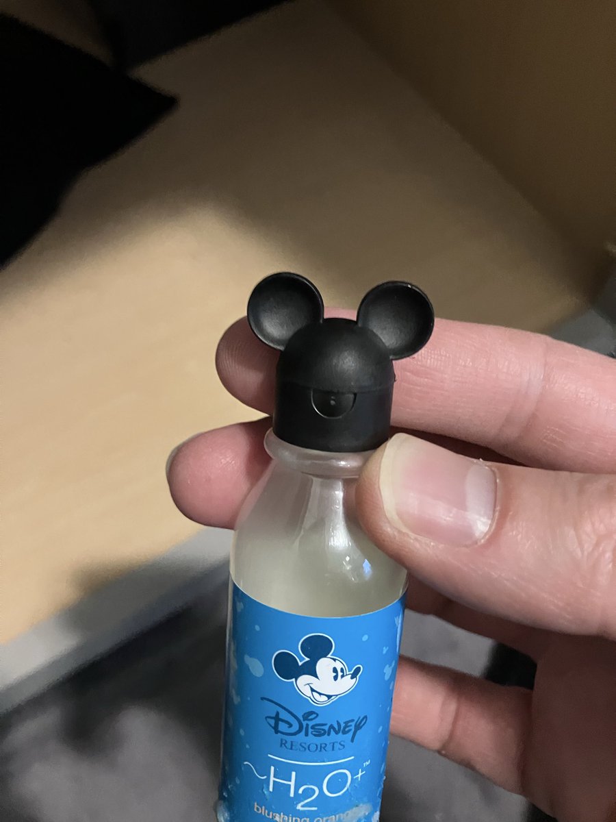 SpaceMtnJoe's tweet photo. Remember when Disney used to go the extra mile? https://t.co/MpJ8XSUcZf