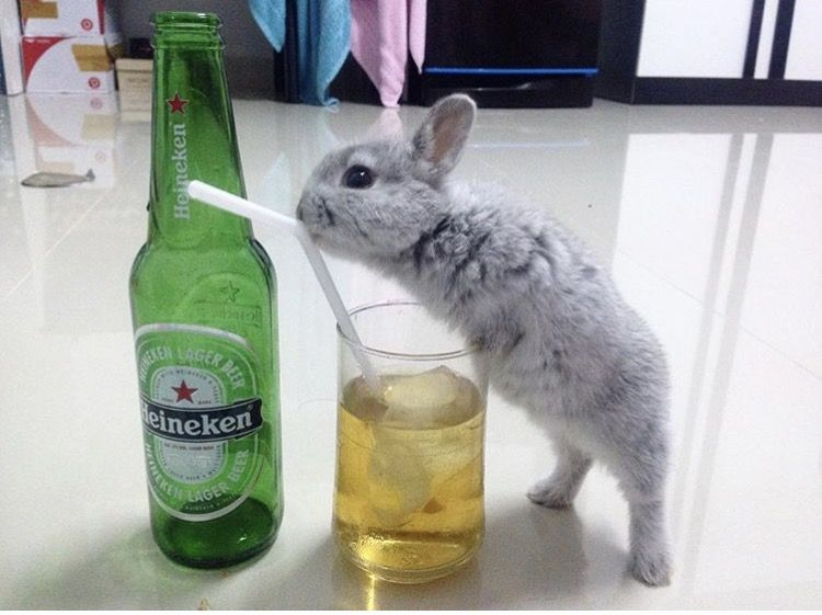 momento de alcohol y vicios