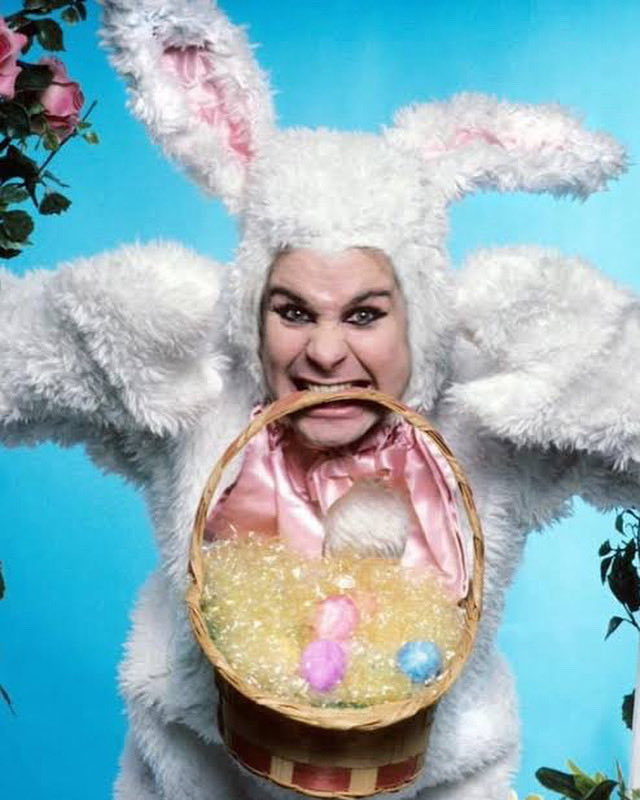 JDittyDesign tweet media