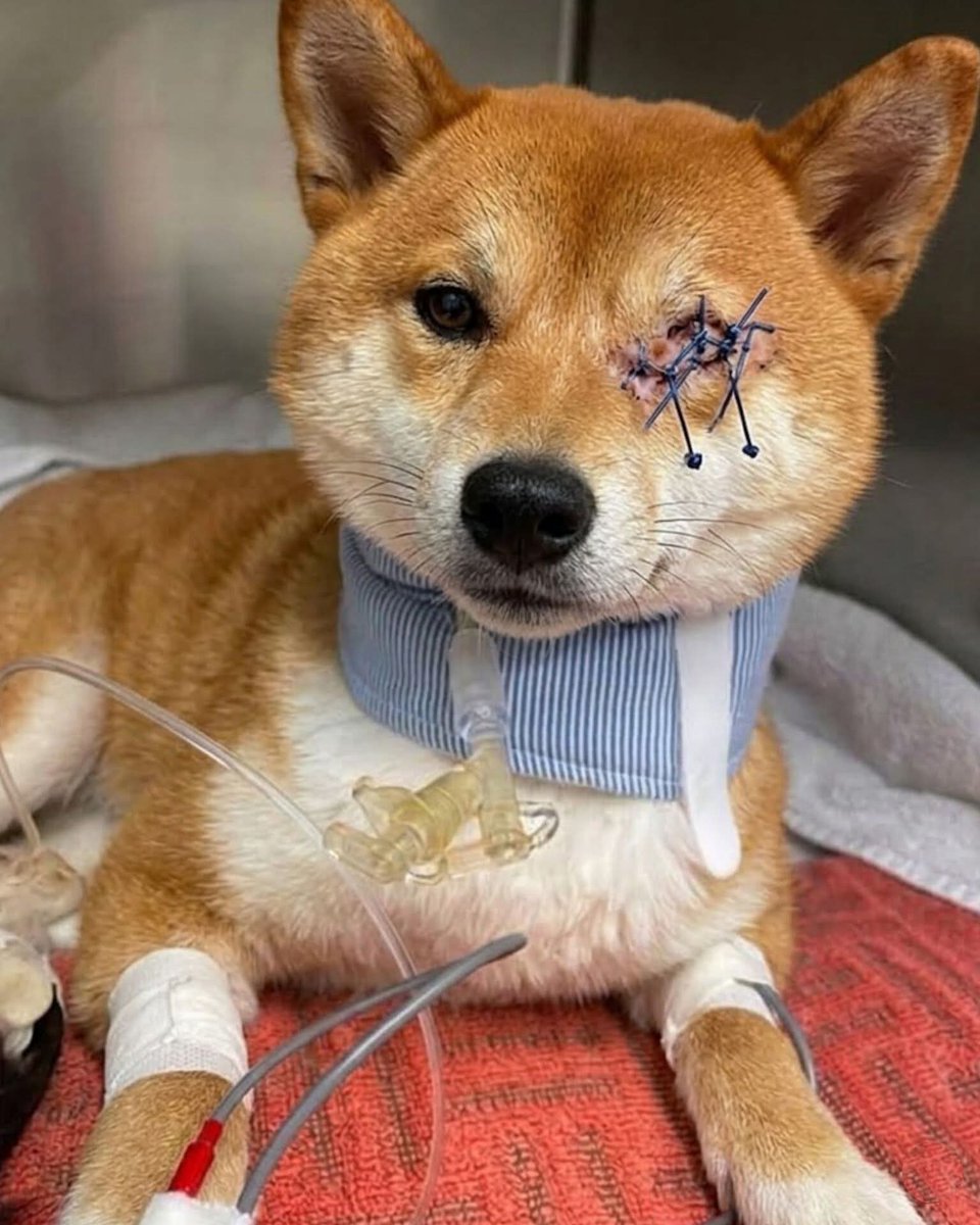 Kristina Bolten tweet media