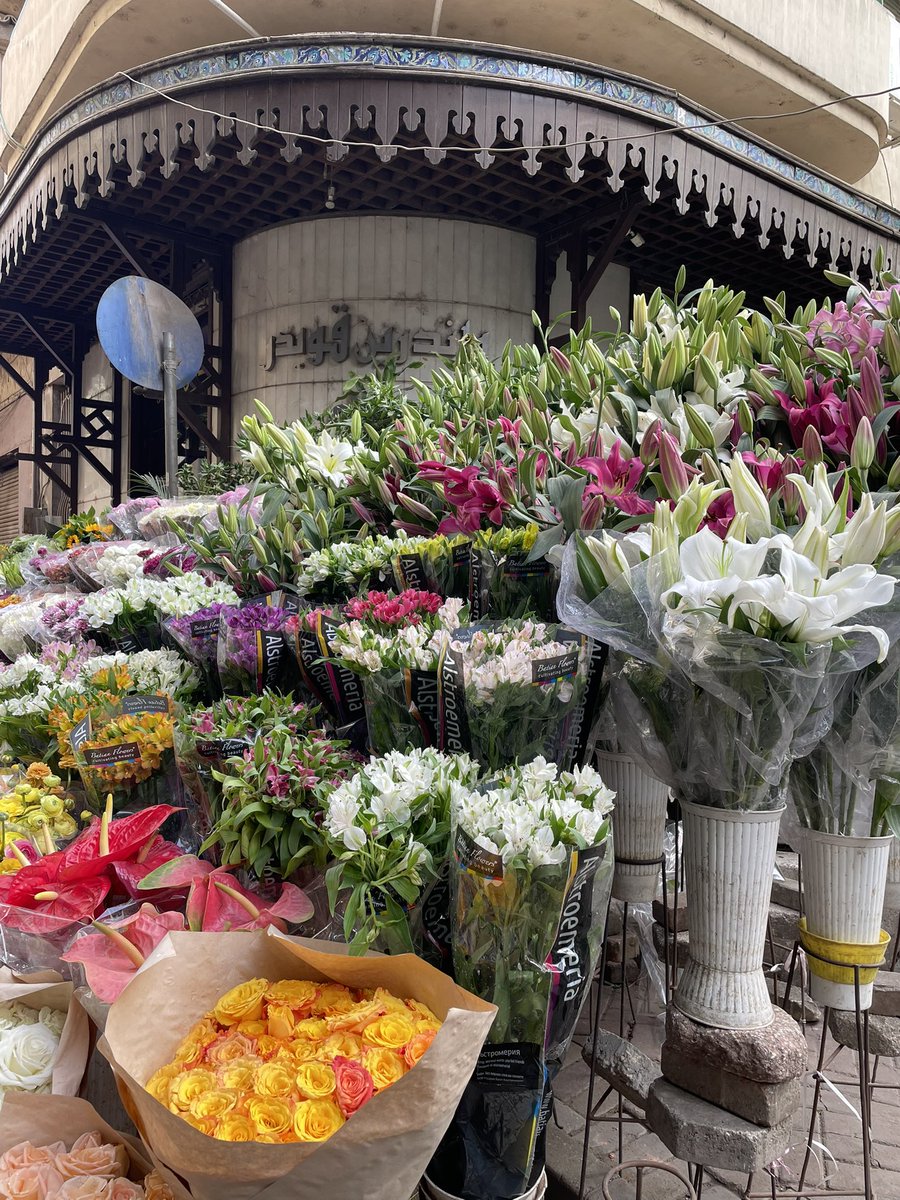 بَـراء 🦇 tweet media