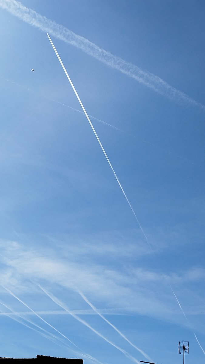 El hombre muerto. tweet media