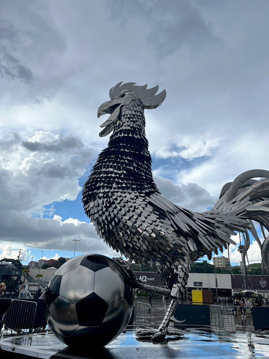 𝗜𝗻𝗳𝗼𝗚𝗮𝗹𝗼 tweet media