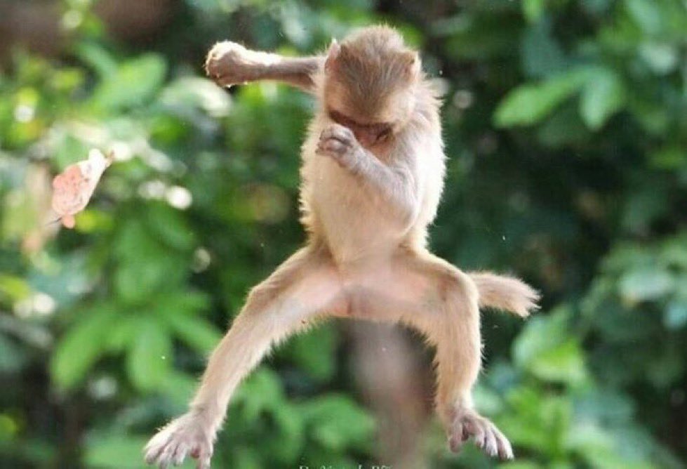 DAILY JOURNAL tweet media