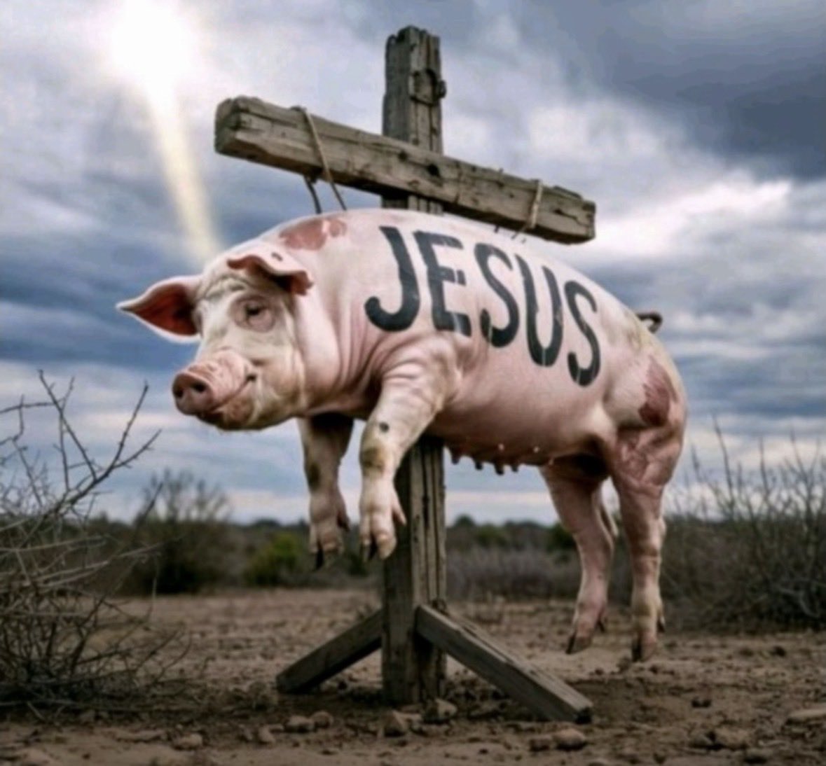 -Abdulmalik 🦅 tweet media