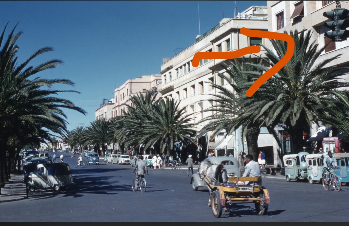 🇪🇷🐪 tweet media