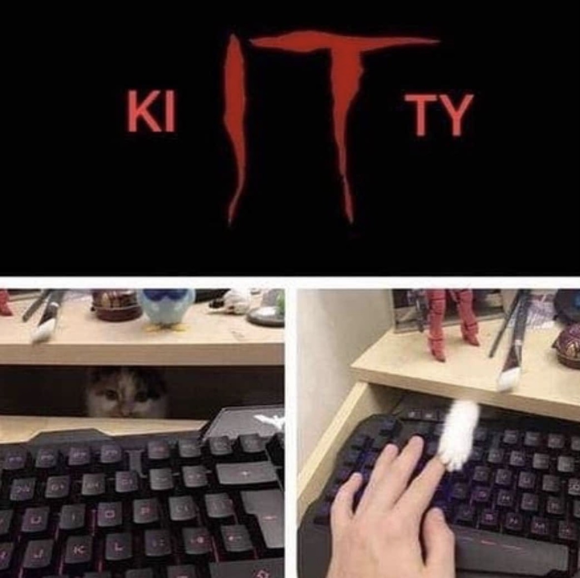 Respectful Memes tweet media