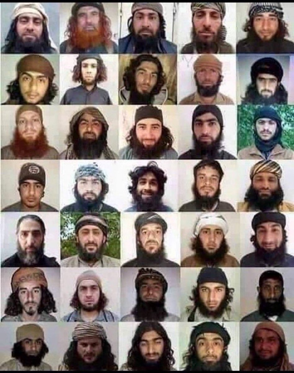 ExpressoCivic tweet media