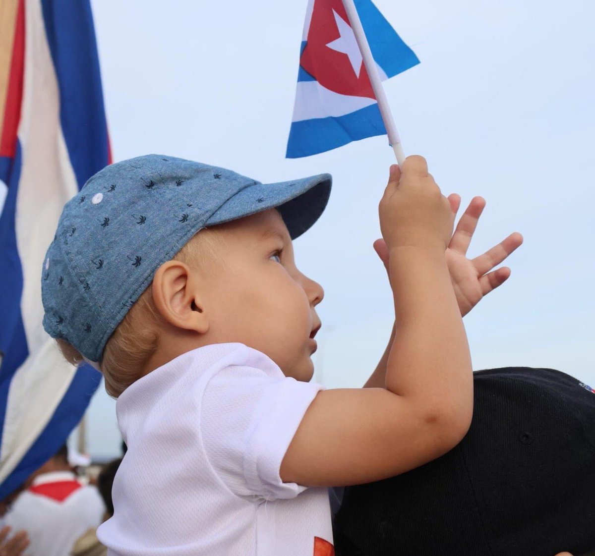 Tere Felipe tweet media