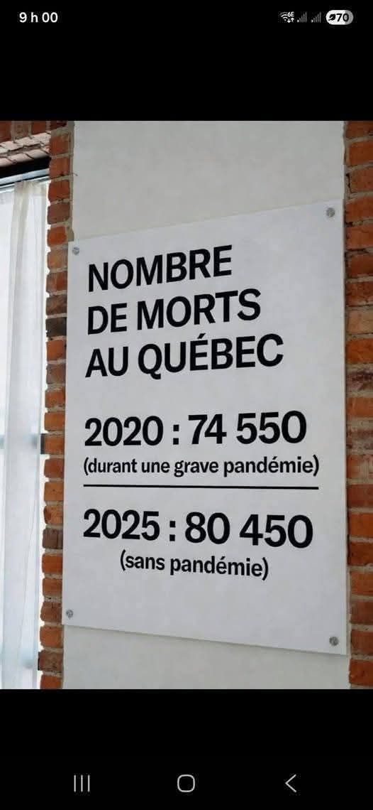 Steve Caro tweet media