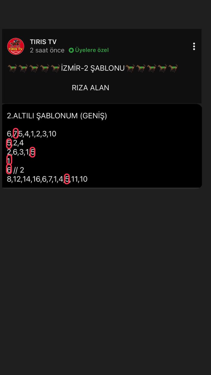 RIZA ALAN tweet media