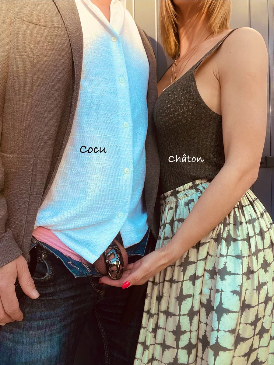 Mister Châton 🔄 tweet media