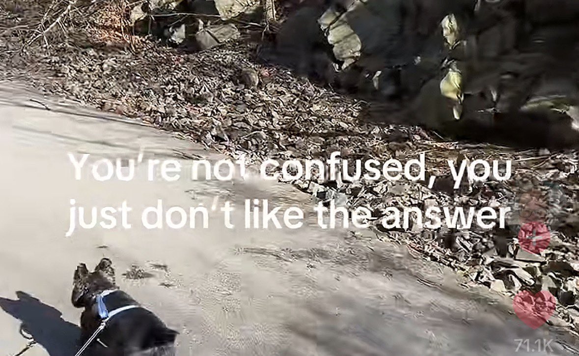 Brissa Zirate tweet media