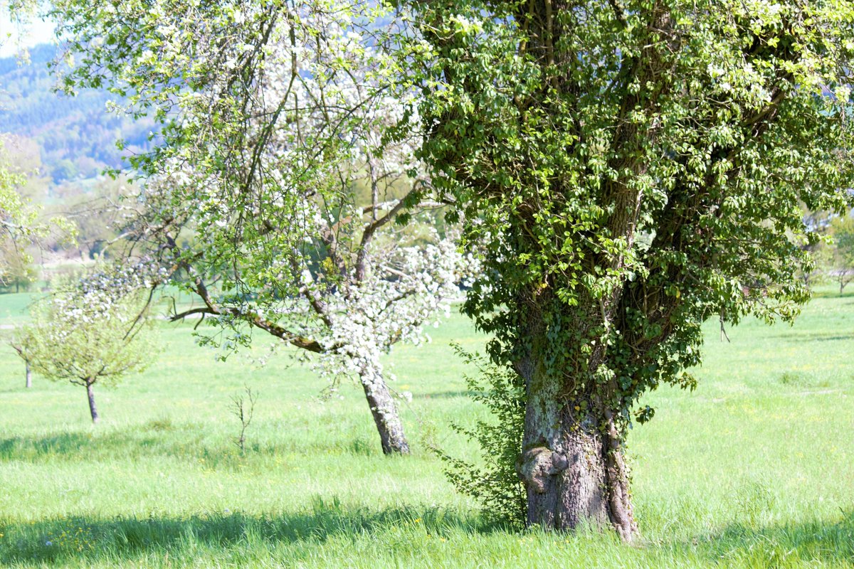 Christiane Gorius M.A. tweet media