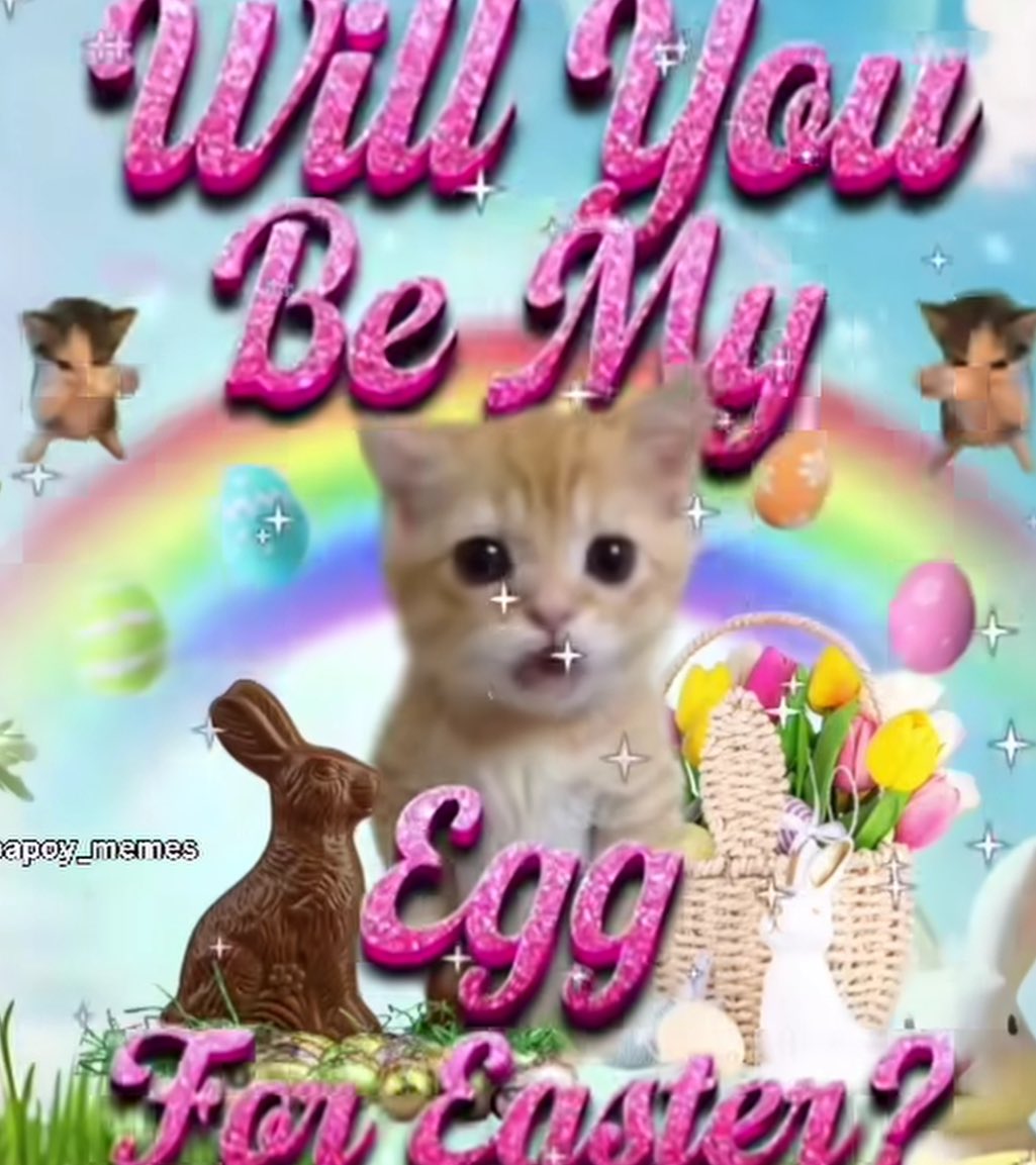 seeonuh 🍸 tweet media