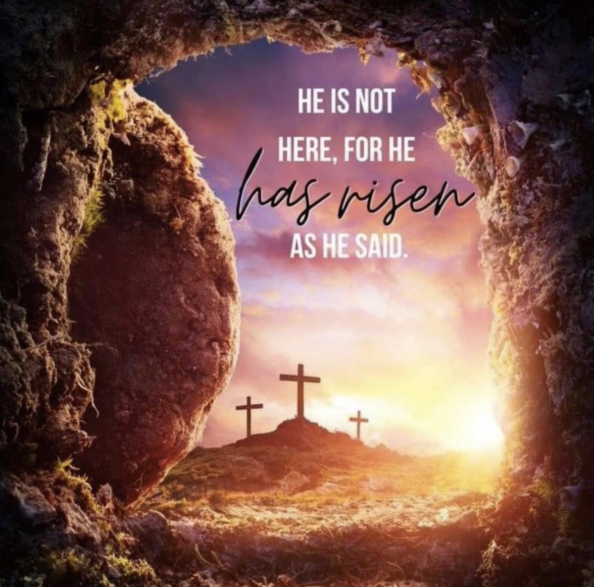 Commissioner Josh Parsons tweet media