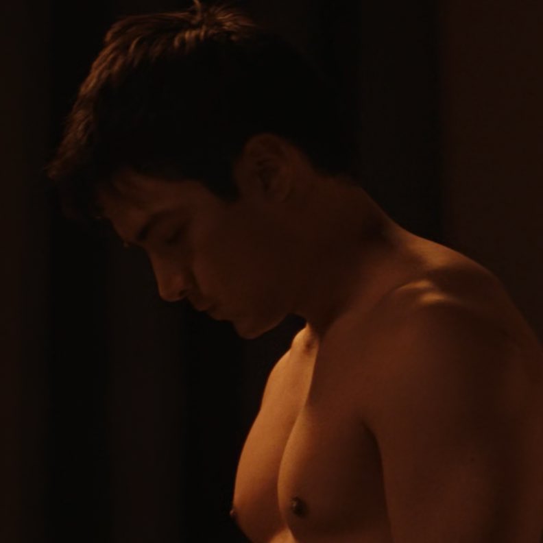 hudson williams’ bush ⁷ .✦ ݁˖ tweet media