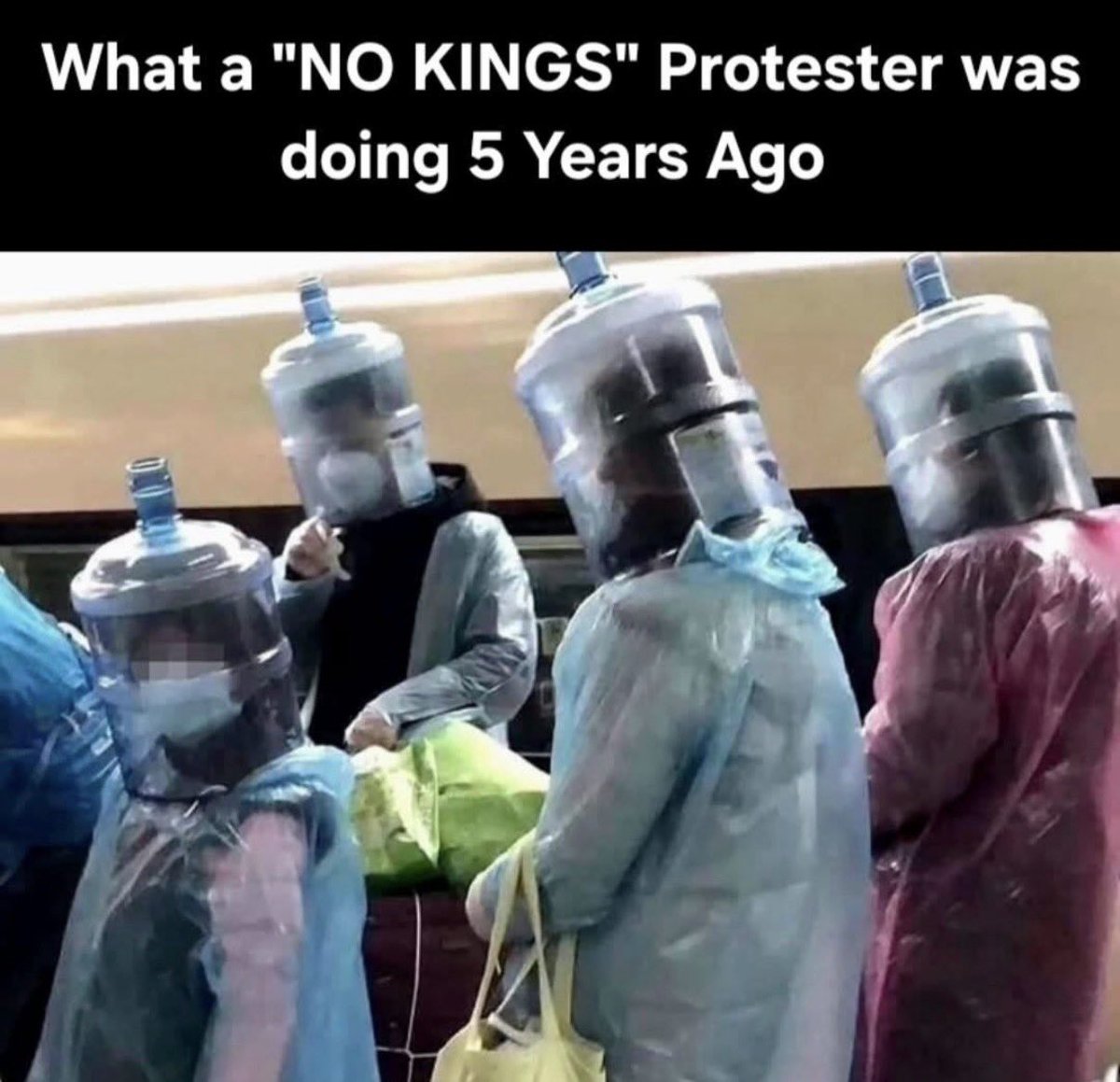 Two Dogs tweet media