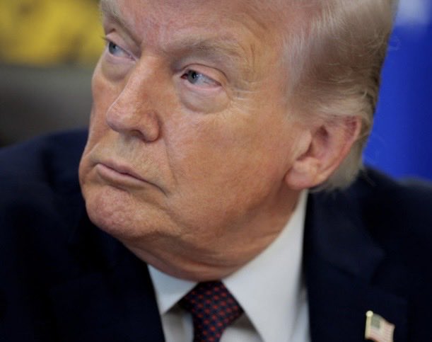 Suzie rizzio tweet media