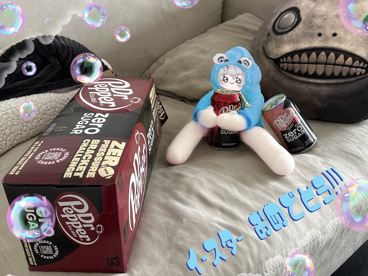 EvaBear0 🐻❄️🩵 ʕ✧ᴥ✧ʔ tweet media