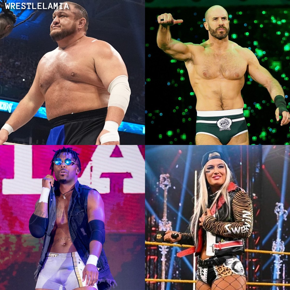 Chris ⚡ tweet media