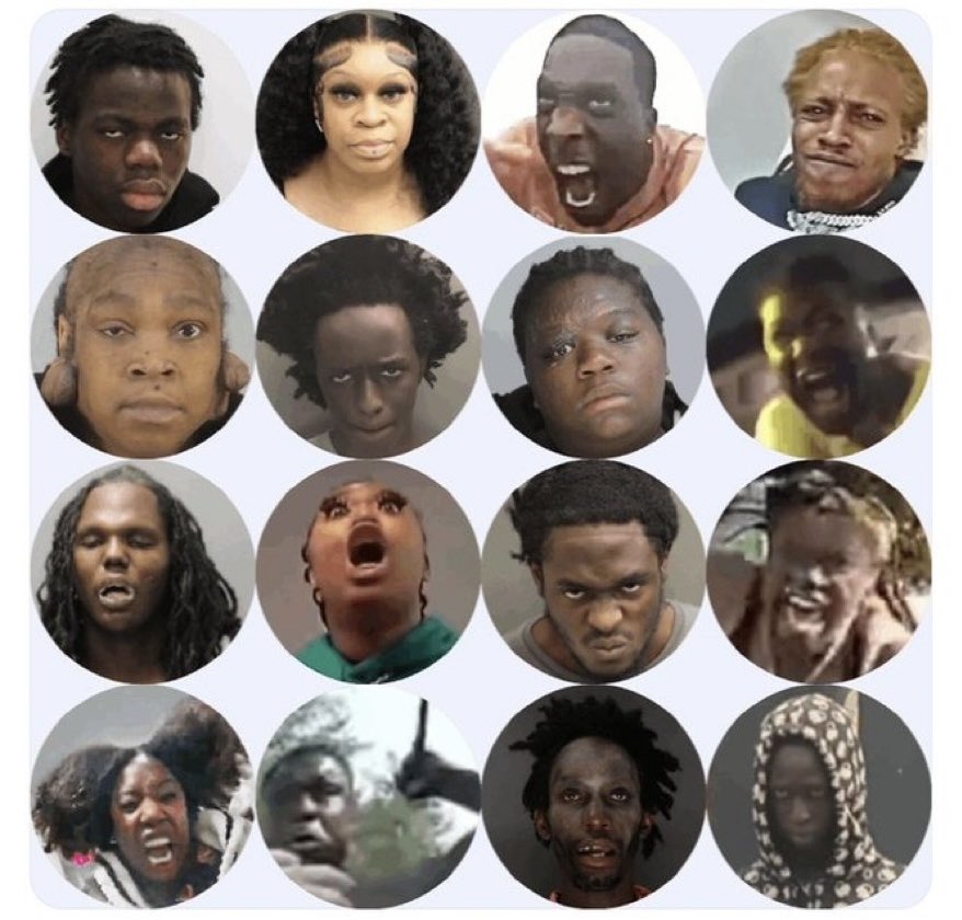 RealJustinLewis tweet media