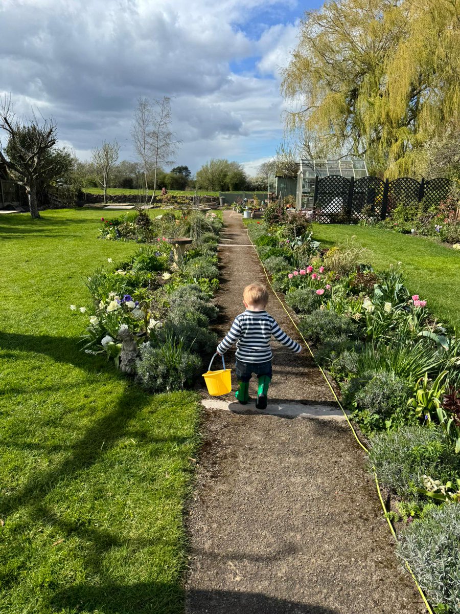 Apple Blossom Vintage tweet media