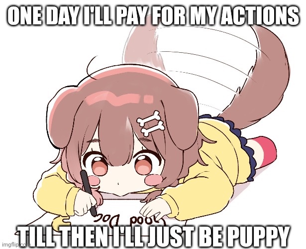 Luna🐾🐶 tweet media