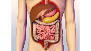 الغيداق .🎀 أبو حمزة 🎀 tweet media