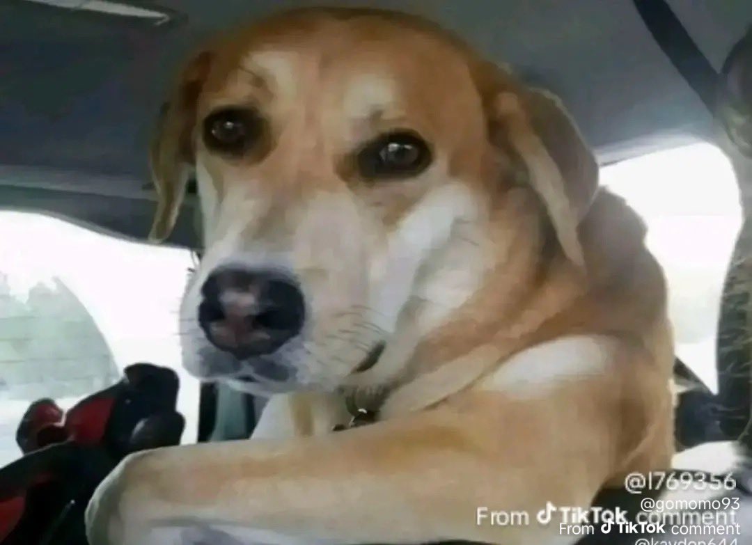 teflon don tweet media