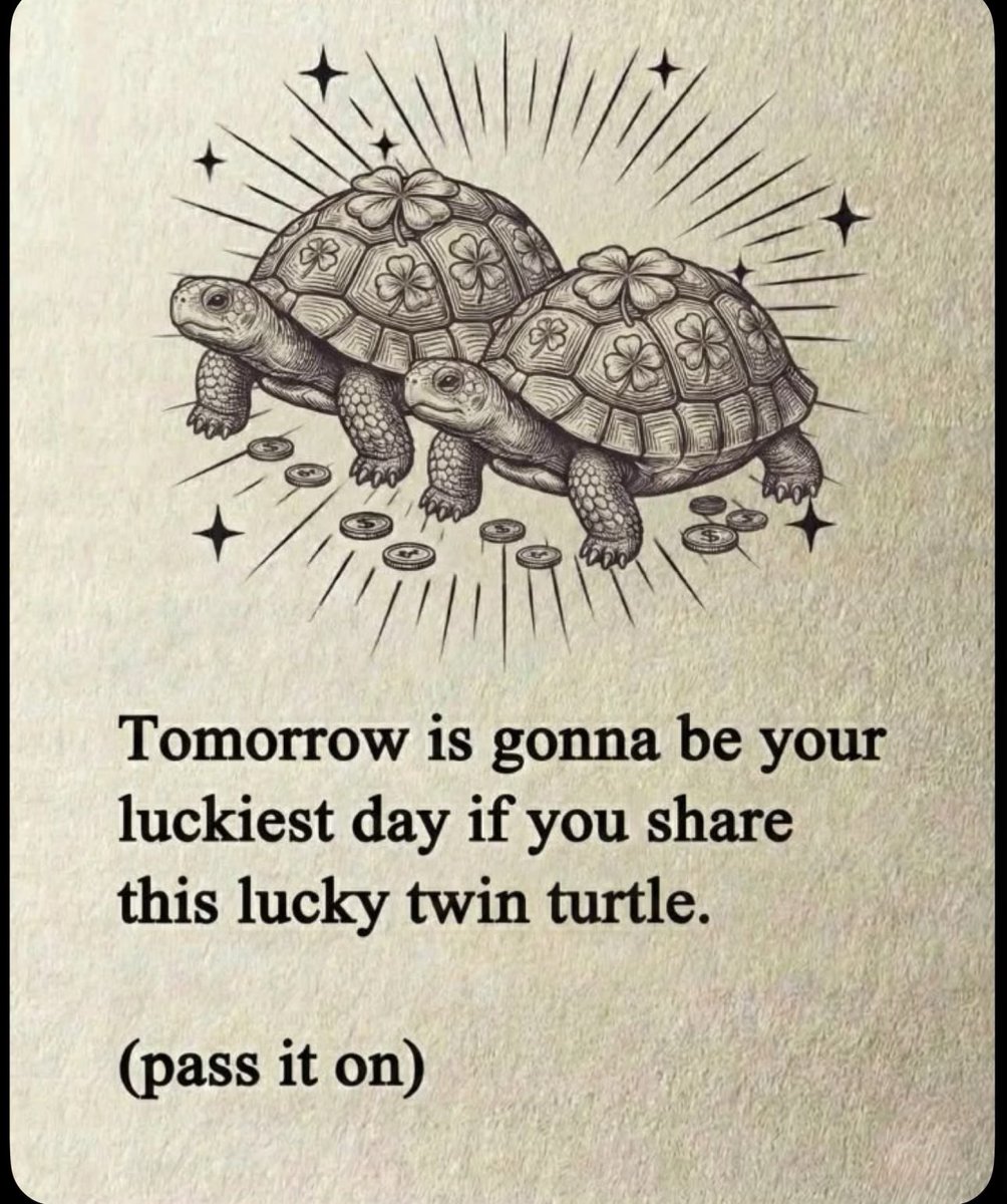 Her Diary ✨ tweet media