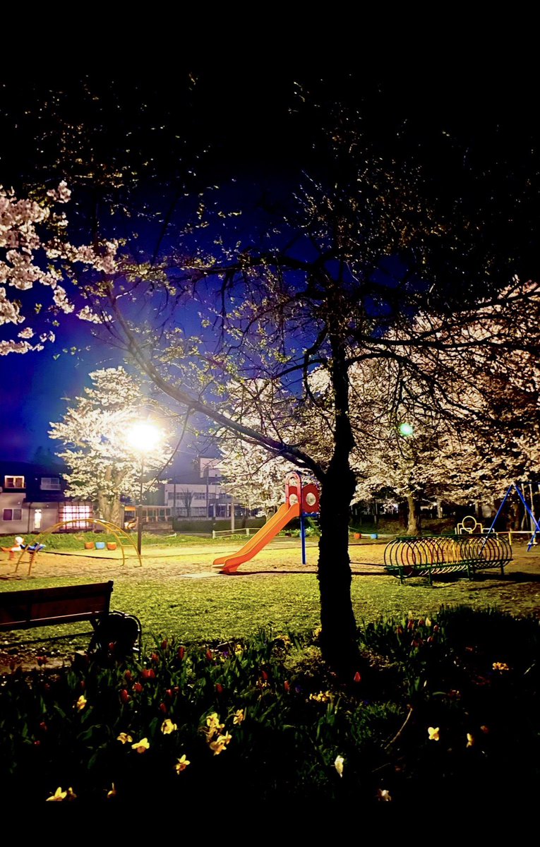 小林米菓 たまりせんべい製造発売元 tweet media