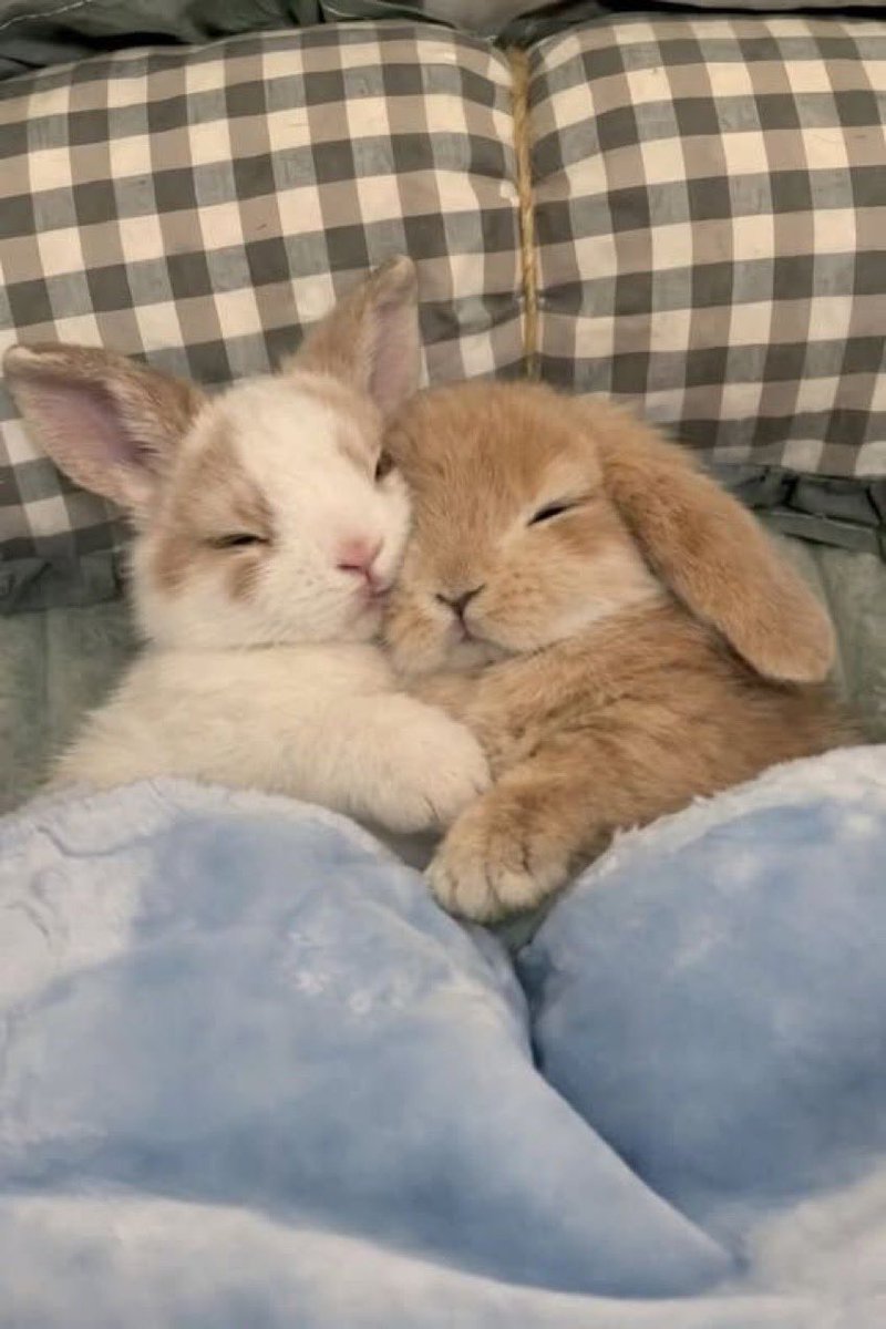 Me & Who? tweet media