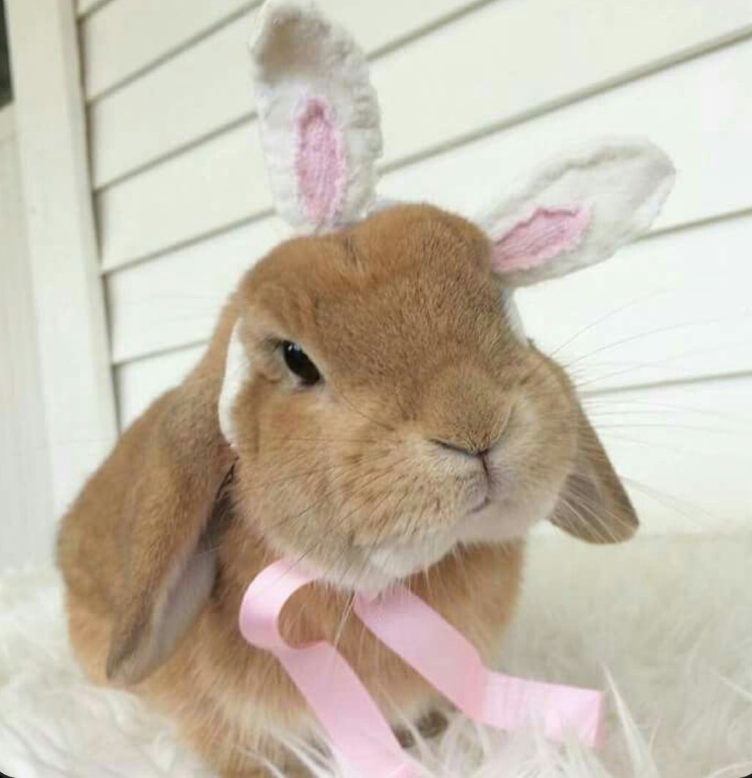 kar 🍷 tweet media